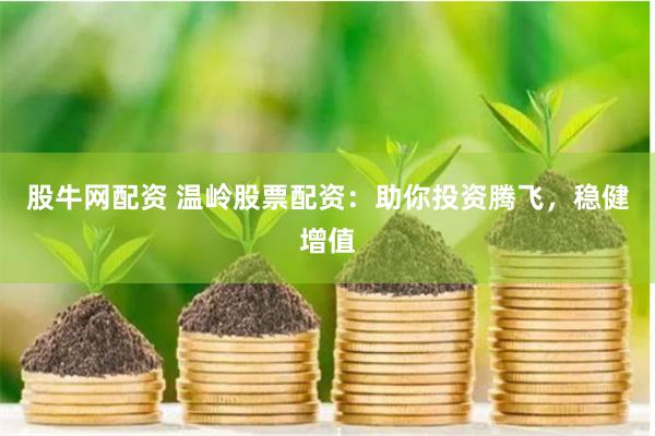 股牛網配資 溫嶺股票配資：助你投資騰飛，穩健增值